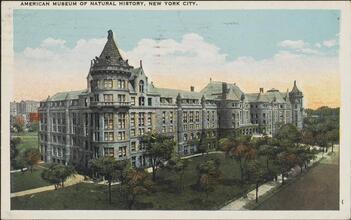 American Museum of Natural History, New York City.