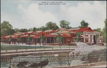 Lion House, New York Zoological Park.