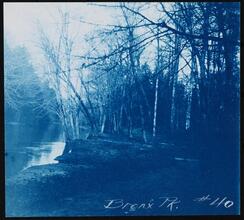 [Bronx Park.]