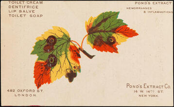 Pond's Extract Co.