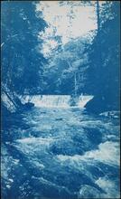 [Dam -- Bronx River.]