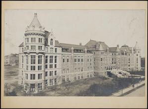 [The American Museum of Natural History.]