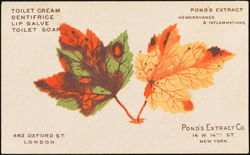 Pond's Extract Co.