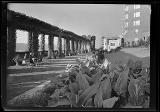 Cabrini Boulevard. Castle Village apartments, views looking down on pergola and gardens.