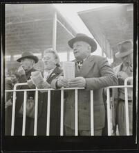 Aqueduct Race Track [Grandstands at the racetrack.]