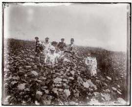 Shelter Island; Coming through the Fields.