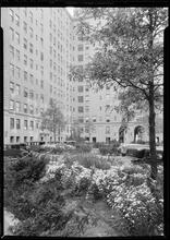 277 Park Avenue, NYC. Planting detail.