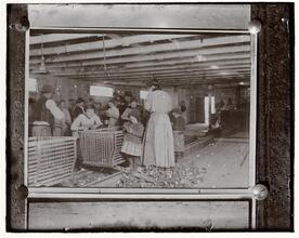 [Copy print of Lewis Wickes Hine Photograph. Organized Charity. In the Oyster Camps, Child Labor.]