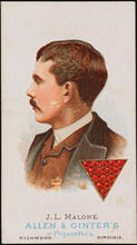 Allen & Ginter's Cigarettes