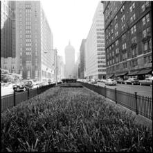 Park Avenue