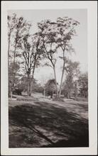 [Hood Wright Place.]