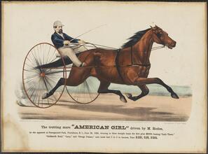 The Trotting Mare "American Girl" Driven by M. Roden