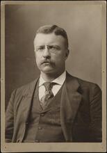 [Theodore Roosevelt.]