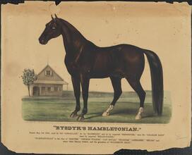 "Rysdyk's Hambletonian."