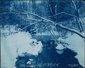 [In Central Park.]