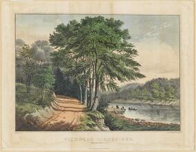 View Near Highbridge.