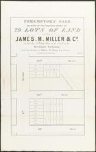 Peremptory Sale by Order of the Supreme Court of 29 Lots of Land at Auction