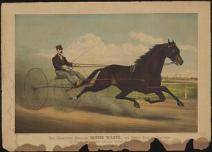The Champion Stallion George Wilkes, the Great Sire of Trotters.
