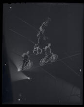 Circus