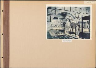 Madison Ave. and 50th St. [MacDougal Street to Maiden Lane]