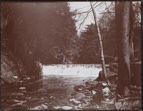 [Bronx Park.]