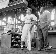 Brooklyn Dodgers