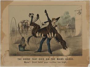 The Horse That Died on the Man's Hands.