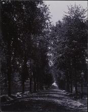 [Prospect Avenue south from 163rd St.]