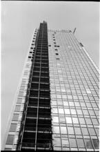 Park Avenue [Construction of the Seagram Building.]