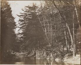 [Bronx River.]