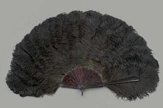 Feather fan of black ostrich