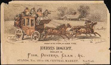 Harris Bogert
