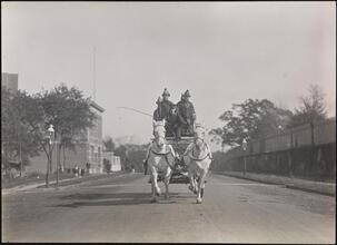 [Horse-drawn fire engine with fire fighters.]