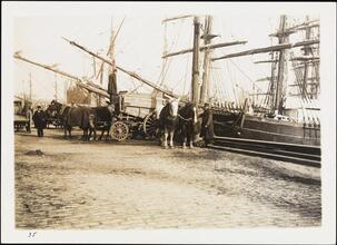 [Ships at dock, South Street.]