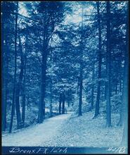 [Bronx Park, Path.]