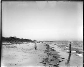 Shore south from [Fort] Wadsworth Reservation