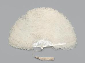 Feathered fan of white ostrich