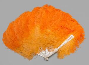 Brisé fan of ostrich feathers