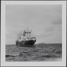 [Steamship.]