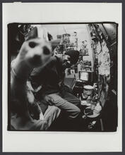 Tony Bell, Sunshine Hotel