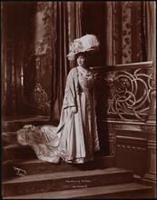 Plays, "Burlesque of the Merry Widow".