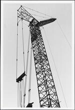 Crane