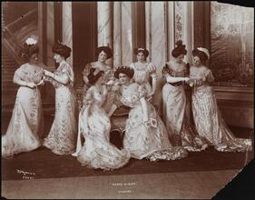 Plays, "Burlesque of the Merry Widow".