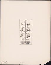 [J.R. Palmenberg's Sons.]