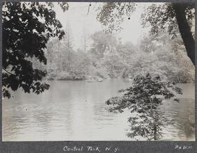[Three views of Central Park.]