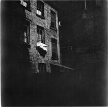 Tenement