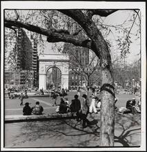 [Washington Arch in Washington Square Park.]