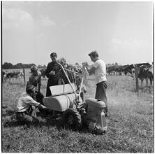 [Boys around a lawn mower.]