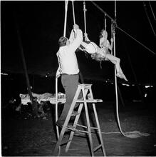 Circus [Trapeze artists.]