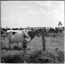 [Farms.]